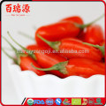 Ningxia goji sweets goji dried goji berry with out sugar